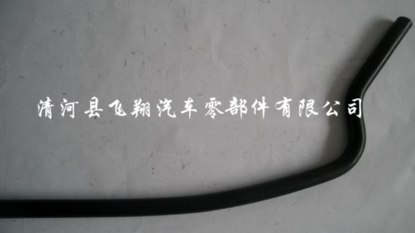 SAM_3264