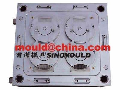 precision mould 6
