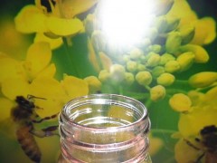 厂家直销透明玻璃圆形蜂蜜瓶全网爆款1000ml蜂蜜玻璃瓶特价玻璃瓶