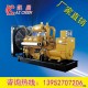 上海申动发电机组  300KW上海申动柴油发电机组  大功率发电机
