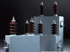 【企业集采】高压电力电容器 高压并联电容器BAM12/√3-