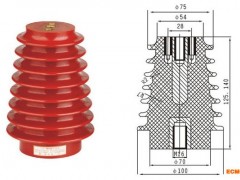 供应12KV CG5户内高压带电显示装置传感器 宝塔形装置传感器