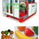 直销 仿真塑料水果玩具塑料玩偶全自动中空吹塑机