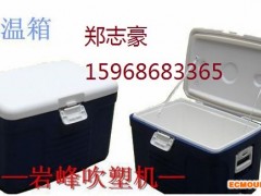 直销类型塑料保温箱 冷藏保鲜钓鱼箱 吹塑模具1