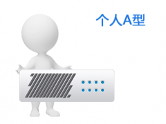 个人A型(虚拟主机)
