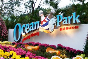 香港海洋公园明年起将上调门票价格