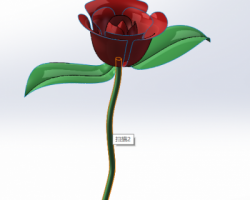 玫瑰花（SolidWorks设计，Sldprt格式）