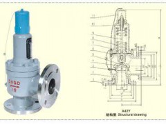 弹簧全启封闭式安全阀 全启封闭式安全阀图1