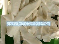 20吨生物质颗粒粉除尘布袋收尘率检测图2