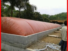 养猪场沼气池自动循环出渣沼气池发酵流程厂家视频图2
