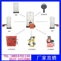 沼气锅炉供热设备 锅炉设备介绍 锅炉结构特点