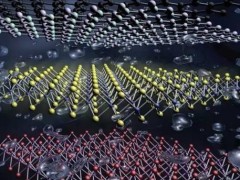 2026中国深圳国际氟硅材料技术与应用展览会