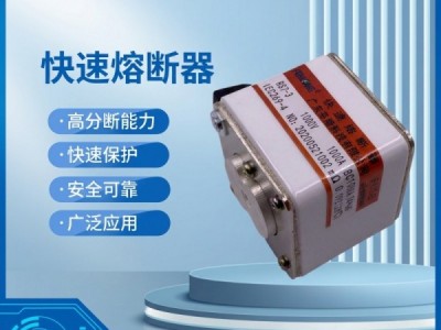 芬隆科技RS82快速熔断器-源头工厂全国快速定制图2
