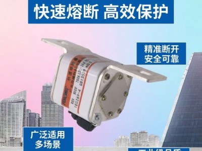 芬隆科技RS82快速熔断器-源头工厂全国快速定制图5