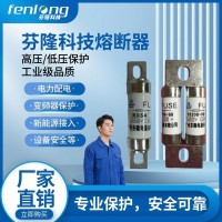 新能源电动汽车保护专用快速熔断器