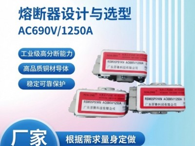 半导体平板式快速熔断器订做-芬隆品牌图4
