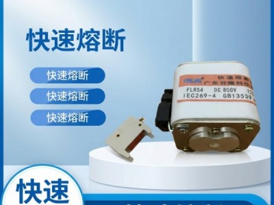 半导体平板式快速熔断器订做-芬隆品牌图2
