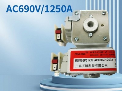 半导体平板式快速熔断器订做-芬隆品牌图3