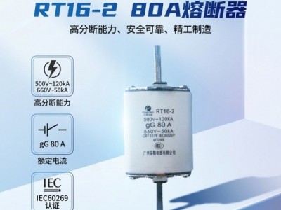 NGT00快速熔断器-芬隆品牌图4