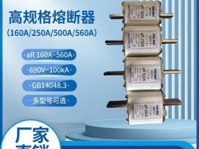 芬隆半导体快速熔断器-现货特价图2
