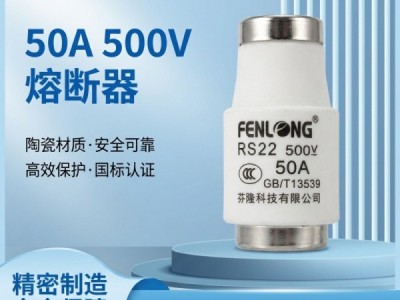 芬隆半导体快速熔断器-现货特价图3