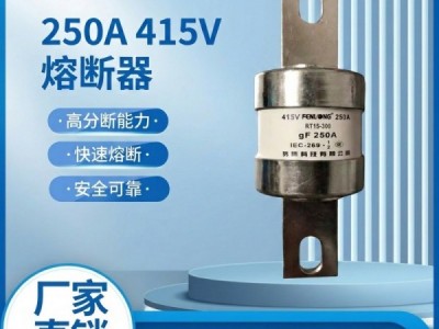 芬隆半导体快速熔断器-现货特价图5